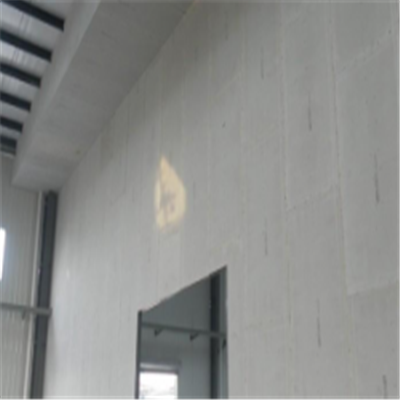 黎川宁波ALC板|EPS加气板隔墙与混凝土整浇联接的实验研讨